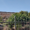 20230824_114956a.jpg