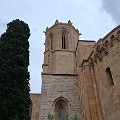 20250819_100708c.jpg